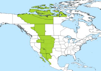 11am mountain time to est|11 30 mst to eastern.